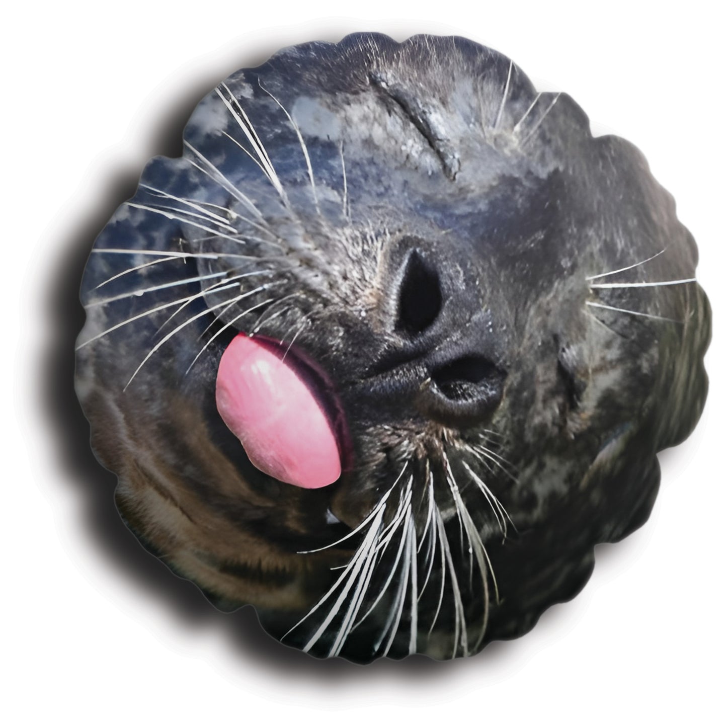 f0a0b307fc9b11759182a2f6caeabba6