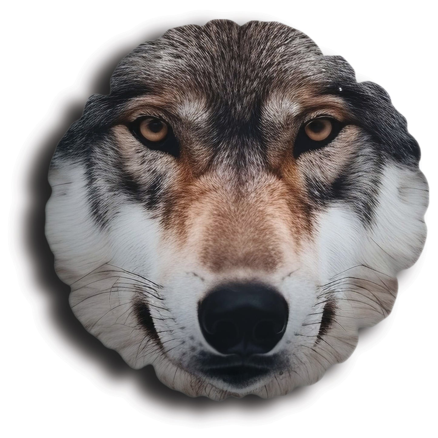 5bce935ad49919d79a6439be68b27472