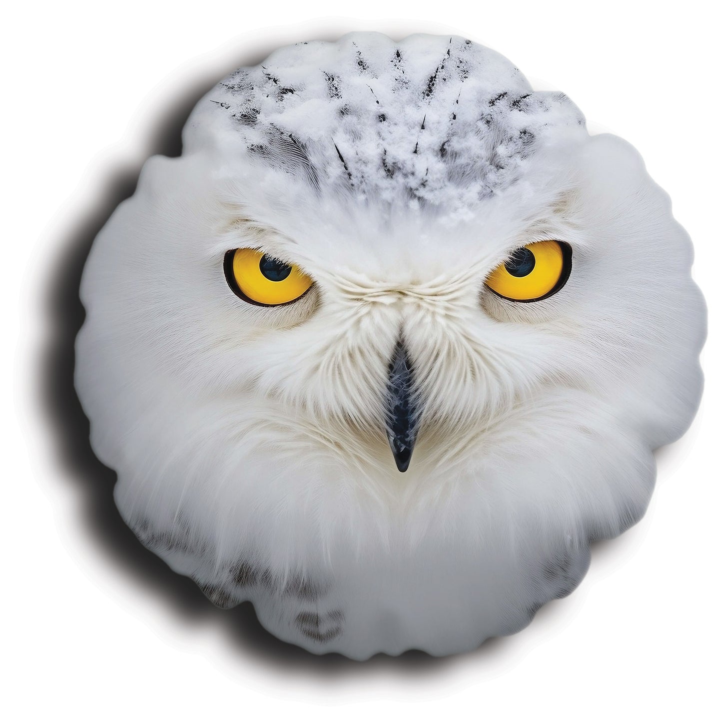 8ef518f0b0b985263715b09377f398e1