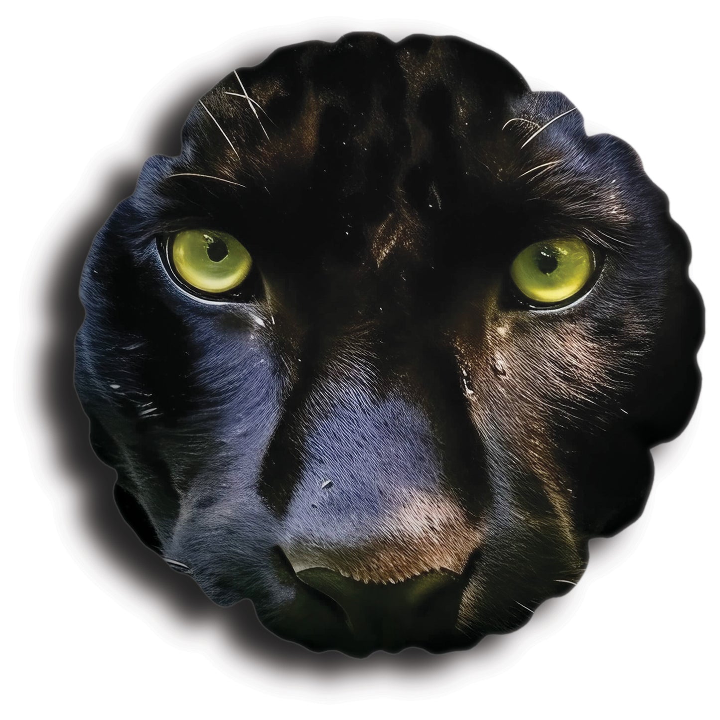 fc46e6c6f7211b0bc23dc62340ff9131