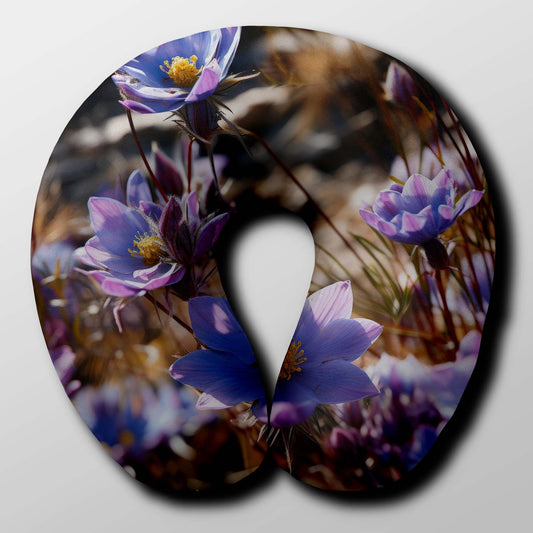 a2db22fd3ee6528452a518a26145c8ba