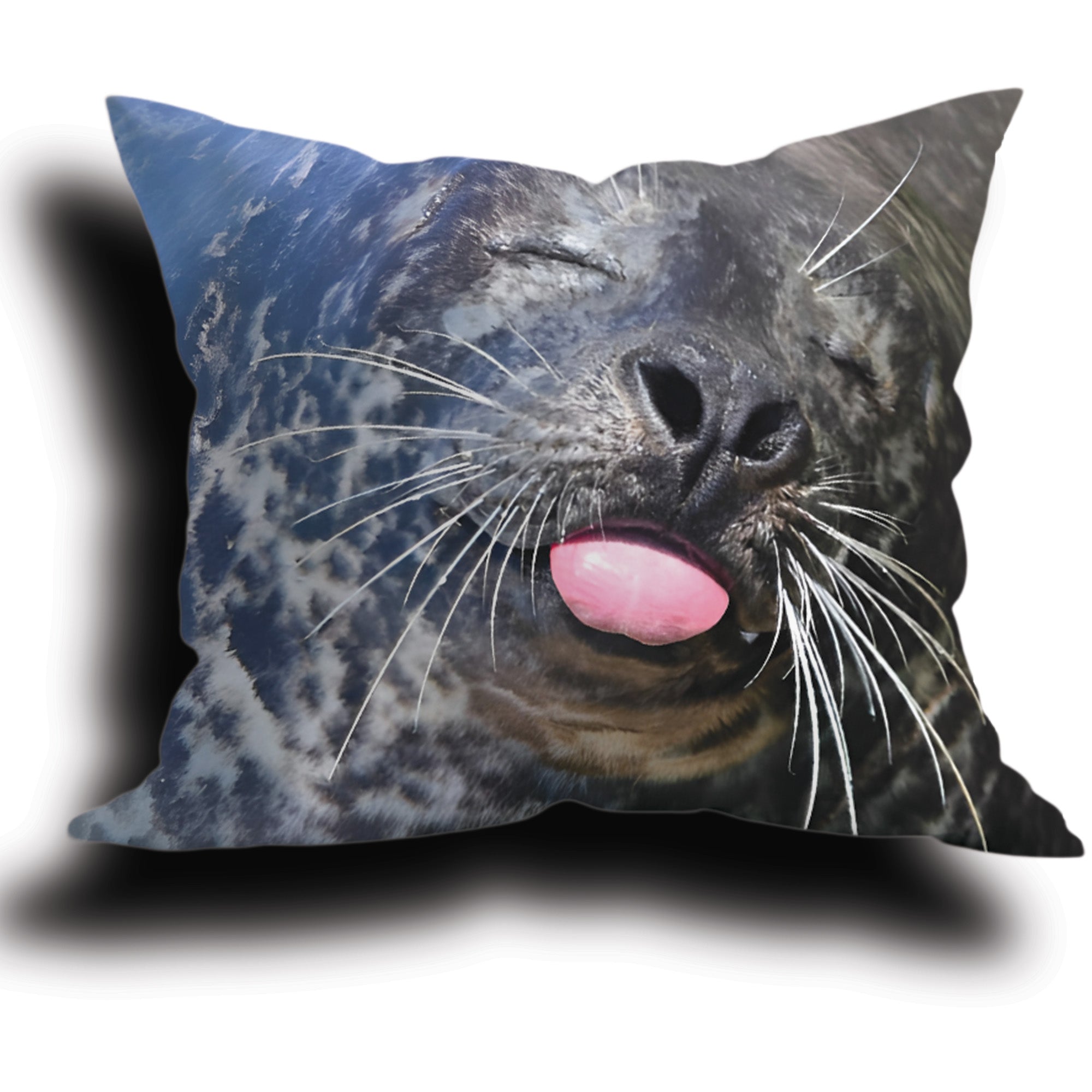 e3fed8ec039ae10d06bc5da5f723c76b