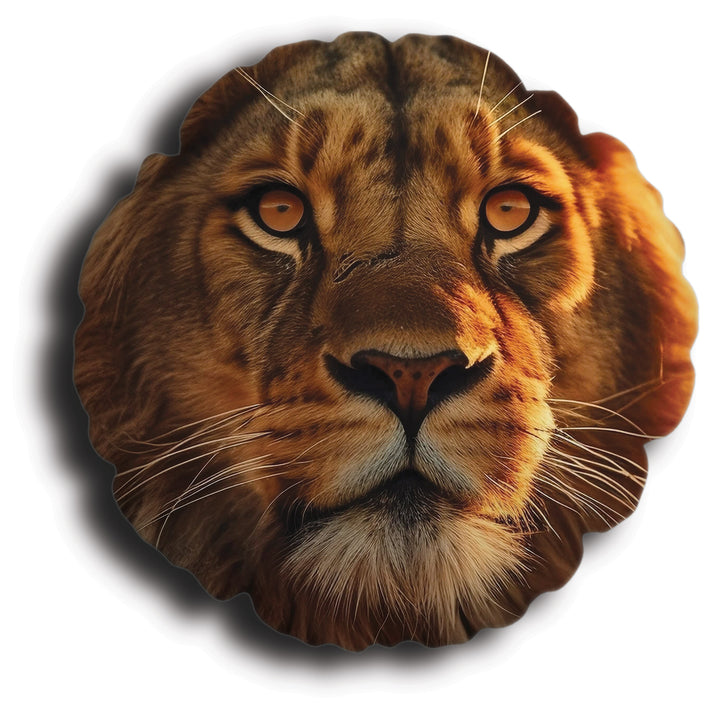 Round Pillow - Lion – Pillow Factory
